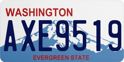 WA license plate AXE9519