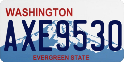 WA license plate AXE9530