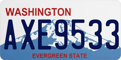WA license plate AXE9533