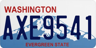 WA license plate AXE9541