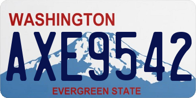 WA license plate AXE9542