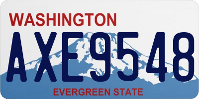 WA license plate AXE9548