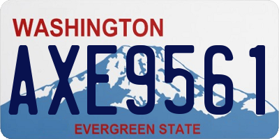 WA license plate AXE9561