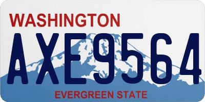 WA license plate AXE9564