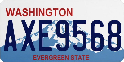 WA license plate AXE9568