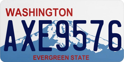 WA license plate AXE9576