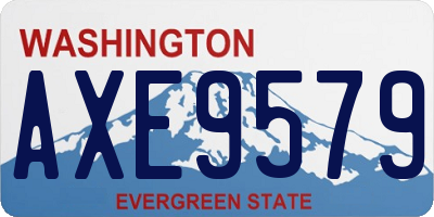 WA license plate AXE9579