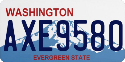 WA license plate AXE9580