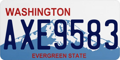 WA license plate AXE9583