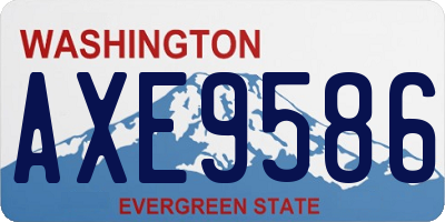 WA license plate AXE9586
