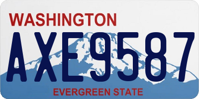 WA license plate AXE9587