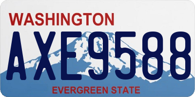 WA license plate AXE9588