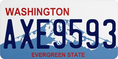 WA license plate AXE9593