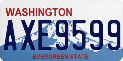 WA license plate AXE9599