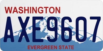 WA license plate AXE9607