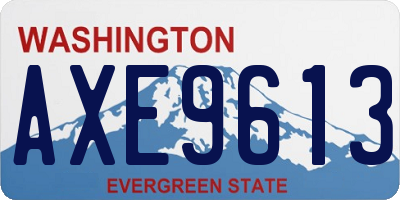 WA license plate AXE9613
