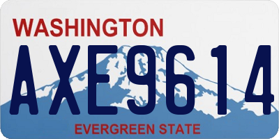 WA license plate AXE9614