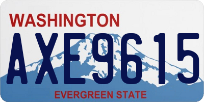 WA license plate AXE9615
