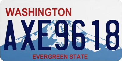 WA license plate AXE9618