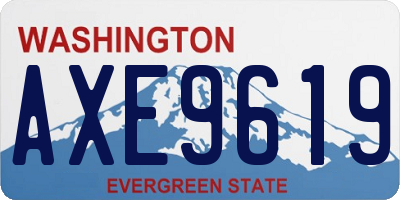 WA license plate AXE9619