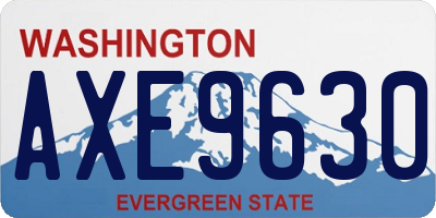 WA license plate AXE9630