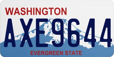 WA license plate AXE9644