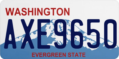 WA license plate AXE9650