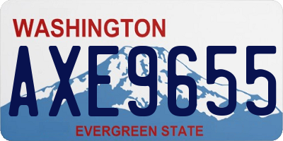 WA license plate AXE9655