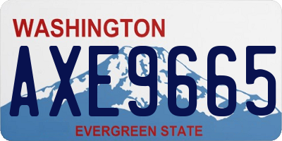 WA license plate AXE9665