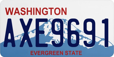 WA license plate AXE9691