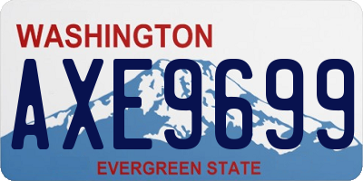 WA license plate AXE9699