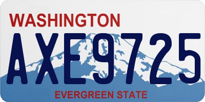 WA license plate AXE9725