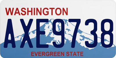 WA license plate AXE9738