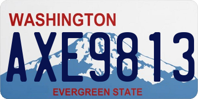 WA license plate AXE9813