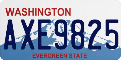 WA license plate AXE9825