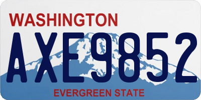 WA license plate AXE9852