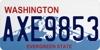 WA license plate AXE9853