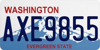 WA license plate AXE9855