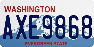 WA license plate AXE9868