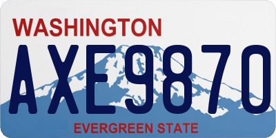 WA license plate AXE9870