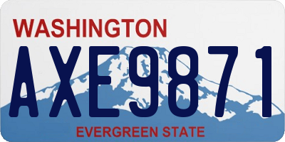 WA license plate AXE9871
