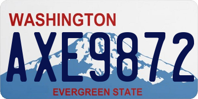WA license plate AXE9872