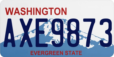 WA license plate AXE9873