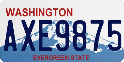 WA license plate AXE9875
