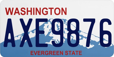 WA license plate AXE9876