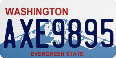 WA license plate AXE9895