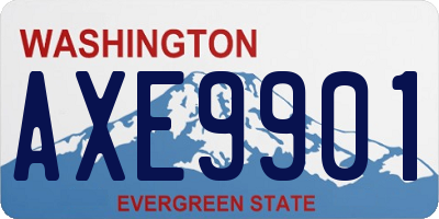 WA license plate AXE9901