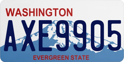 WA license plate AXE9905