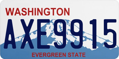 WA license plate AXE9915
