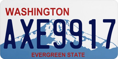 WA license plate AXE9917